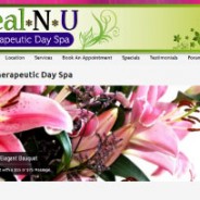 Heal-N-U Day Spa